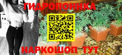 молекула духа Славгород