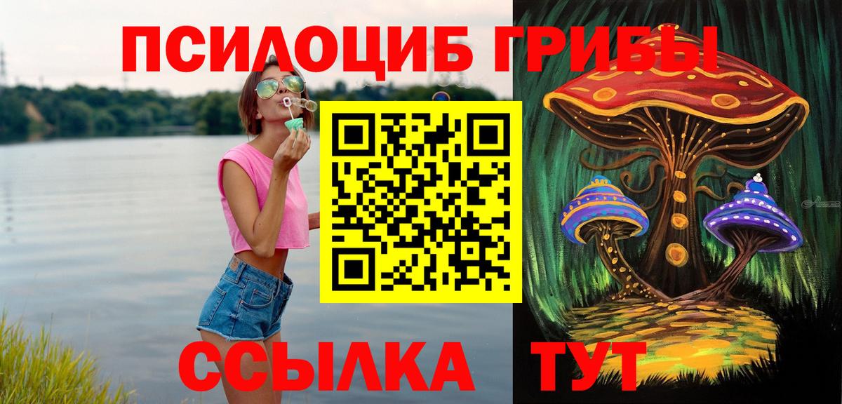 Псилоцибиновые грибы прущие грибы Балашиха