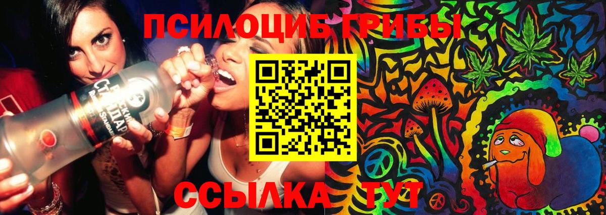 Балашиха  Галлюциногенные грибы Psilocybine cubensis  Вход с VPN  Галлюциногенные грибы Magic Shrooms 